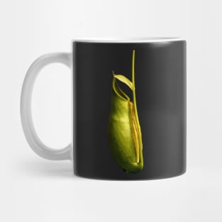 Nepenthes tropical pitcher plant botanical drawing carnivorous plant Mug